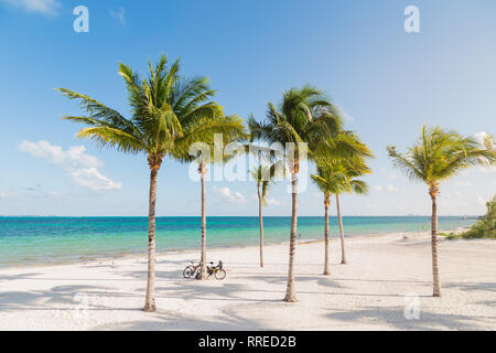 White sand beach in Cancun, Mexico, with palm trees with bicyles leaning up against them. Stock Photo