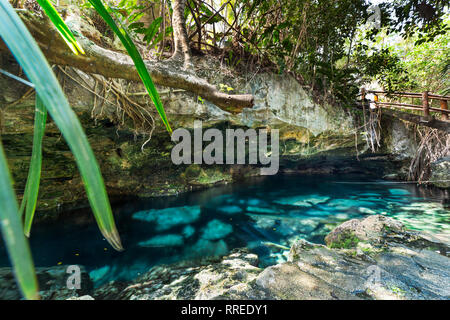 A natural swimming pool at the Cristalino cenote near Tulum, Mexico. Stock Photo