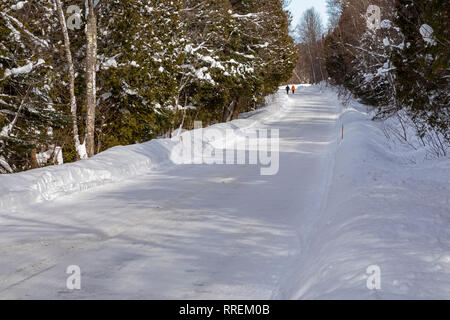 Munising, Michigan - Two people walk along Sand Point Road in winter, in Pictured Rocks National Lakeshore. Stock Photo