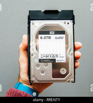 Paris, France - Jan 8, 2018: Man holding against gray background new HDD Western Digital 6tb Caviar Black Stock Photo