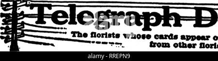 . Florists' review [microform]. Floriculture. 130 The Florists' Review Mabch 10, 1021.. Please note that these images are extracted from scanned page images that may have been digitally enhanced for readability - coloration and appearance of these illustrations may not perfectly resemble the original work.. Chicago : Florists' Pub. Co Stock Photo