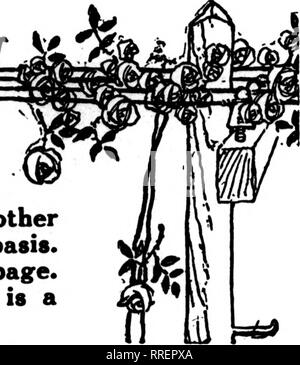 . Florists' review [microform]. Floriculture. Telegraph Deliveryjg^ Department' THE florists whose cards appear in the Pink Part of The Florists' Review are prepared to fill orders from other florists, for local delivery, on the usual basis. See index by towns on the following page. If your city is not represented, there is a specially good opportunity for you.. MilllllliillllllllllllllllllllllllllllllllllllilllllllllllllllllllllllllilllllllllllllillillllllllllilllllllllllllHiilllilllllllllllllllilllilllillllllllllllll'i I Special Attradlion Offered | j to all Florins' Clubs—Gratis j 5 We have