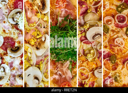 a set of different pizza for the menu, with cheese, with ham, with salami, with mushrooms, with holopina with tomatoes on isolated background Stock Photo