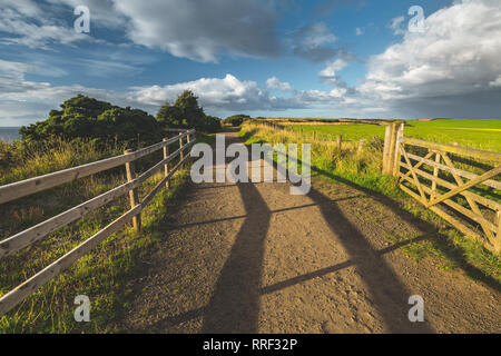 Countryside road with wooden fence. Northern Ireland landscape. The country driveway passing through the green grass fields. Horizon view. Blue cloudy sky background. Stunning Irish scene. Stock Photo