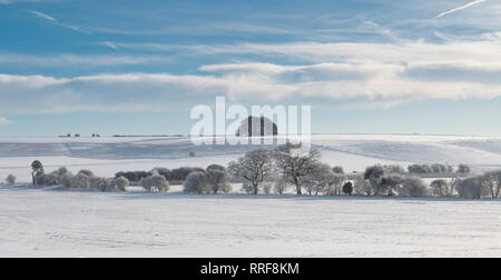 Snow covered winter landscape and frost covered hedgerow in Avebury, Wiltshire, England Stock Photo
