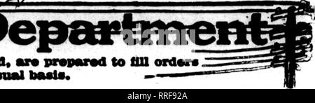 . Florists' review [microform]. Floriculture. 70 The Florists^ Review Dkceubbb 2, 1920. Please note that these images are extracted from scanned page images that may have been digitally enhanced for readability - coloration and appearance of these illustrations may not perfectly resemble the original work.. Chicago : Florists' Pub. Co Stock Photo