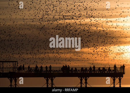 People observe starlings over the Royal Pier on Aberystwyth beach in Wales, as a new record has been set for the UK's warmest February day. The thermometer reached 20.3C (68.5F) at Trawsgoed in Ceredigion, west Wales, beating the previous record of 19.7C (67.4F) recorded in Greenwich in 1998. Stock Photo