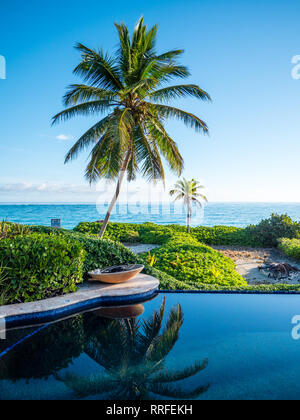 Reflection of Palm Trees, In Swimming Pool, Sky Beach Club, Eleuthera, The Bahamas, The Caribbean. Stock Photo