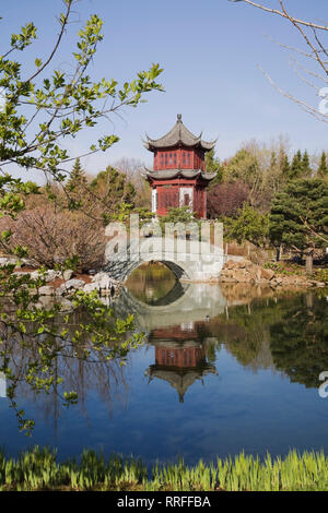 Stone footbridge and the Tower of Condensing Clouds pavilion and Dream lake in Chinese Garden in spring Montreal Botanical Garden, Quebec, Canada Stock Photo