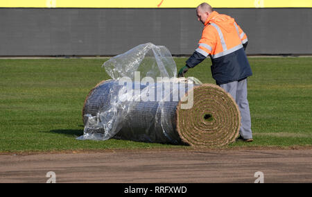 26 February 2019, Schleswig-Holstein, Kiel: Around 8000 square meters of new grass will be laid in the Holstein Stadium in Kiel. The 290 reels cost an almost six-figure sum. The last time the lawn was changed was about a year ago. Holstein Kiel plays here on 01.03.2019 against Union Berlin Photo: Carsten Rehder/dpa - IMPORTANT NOTE: In accordance with the requirements of the DFL Deutsche Fußball Liga or the DFB Deutscher Fußball-Bund, it is prohibited to use or have used photographs taken in the stadium and/or the match in the form of sequence images and/or video-like photo sequences. Stock Photo