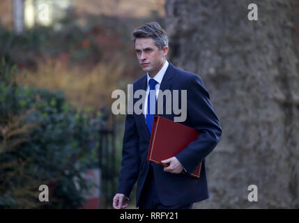 London, UK. 26th Feb, 2019.Secretary of State for Defence The Rt Hon Gavin Williamson CBE MP arrives for the weekly cabinet meeting at 10 Downing Street in London. Prime Minister, Theresa May, is expected to give a statement to MPs later today with expectations growing that she will offer a compromise deal to prevent any possible resignations. Credit: Keith Larby/Alamy Live News Stock Photo