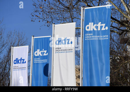 26 February 2019, Baden-Wuerttemberg, Heidelberg: Flags with the DKFZ logo are flying in front of the German Cancer Research Center (DKFZ). On 26.02.2019 there will be a press conference on the topic 'Novel infectious agents as cancer risk factors'. Photo: Uli Deck/dpa Stock Photo