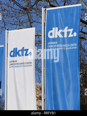 26 February 2019, Baden-Wuerttemberg, Heidelberg: Flags with the DKFZ logo are flying in front of the German Cancer Research Center (DKFZ). On 26.02.2019 there will be a press conference on the topic 'Novel infectious agents as cancer risk factors'. Photo: Uli Deck/dpa Stock Photo