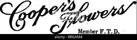 . Florists' review [microform]. Floriculture. DENVER,COLORADO MEMBER FLORISTS* TELEGRAPH DELIVERY ASSOCIATION PARK FLORAL COMPANY DENVER andaU COLORADO and WYOMING The Mauff Floral Co., 1225 Logan Street. Member F. T. D. Loloradobprings, Lolo. ORDERS CAREFDLLY EXECUTED PIKES PEAK FLORAL CO. Wholesale and Retail Member Florigts' Telegraph Delivery. CASPER, WYOMING CASPER FLORAL CO- We deliver to all of Central and Northern Wyoming Western Nebraska and South Dakota. Members F. T. D. Cheyenne, Wyo. &quot;THE UNDERWOOD* FOR PROMPT AND FAITHFUL SERVICE CASPER. WYO. &quot;THE PALMS&quot; FLORAL CO.  Stock Photo