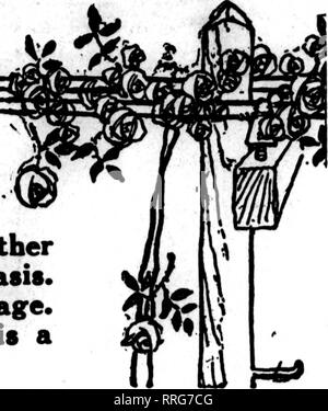 . Florists' review [microform]. Floriculture. Telegraph Delivery THE florists whose cards appear in the Pink Part of The Florists' Review are prepared to fill orders from other florists, for local delivery, on the usual basis. See index by towns on the following page. If your city is not represented, there is a specially good opportunity for you.. ^iiiiiiiiiiiiiiiiiiiiiiiiiiiiiiiiiiiiiiiiiiiiiiiiiiiiiiiiiiiiiiiiiiiiiiiiiiiiiiiiiiiiiiiiiiiiiiiiiiiiiiiiiiiiiiiiiiiiiiiiiiiiiiiiiiiiiiiiiiiiiiiiiiiiiiiiiiiiiiiit: I Special Attraction Offered | I to all Florins' Clubs—Gratis i 5 We have had made two