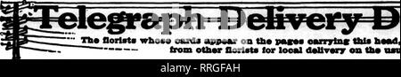 . Florists' review [microform]. Floriculture. 88 The Florists^ Review July 22, 1920. Please note that these images are extracted from scanned page images that may have been digitally enhanced for readability - coloration and appearance of these illustrations may not perfectly resemble the original work.. Chicago : Florists' Pub. Co Stock Photo