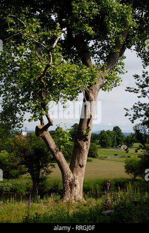 Cultural tourism: Moat Brae House, Dumfries, the garden where grew up JM Barrie, author of Peter Pan. Dumfries and Galloway, Scotland, United Kingdom Stock Photo