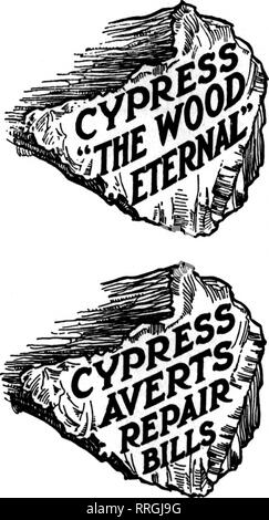 . Florists' review [microform]. Floriculture. &quot;THE WOOD THAT ALL ITS USERS PRIZE, THE WISE IN- VESTOR SAFE- LY BUYS.&quot; INSISTON&quot;TIDEWaTER&quot; CYPRESS, WITH THIS MARK ON EVERY BOARD: TWm M«« »«» US (&quot;••OmM NOW rOR A FREE BOOK from the famous Cypress Pocket Library—43 vols. VoL 3 is the Greenhouse Book. VoL 1 has full list. Write.. SOUTHERN CYPRESS MANUFACTURERS' ASSOCIATION 1230 HIBERNIA BANK BLDG NEW ORLEANS. LA. 1230 HEARD NAT'L BANK BLDG., JACKSONVILLE, FLA. (Please address nearest office.) Take All the Time You Need, But don't just &quot;put it off.&quot; Buying a green Stock Photo