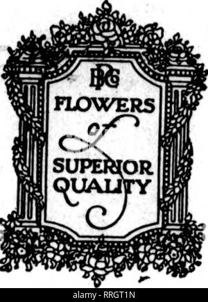 . Florists' review [microform]. Floriculture. December 18, 1919. The Florists^ Review V ?&gt;. CHRISTMAS FLOWERS AMERICAN BEAUTIES 36 inches up Per Doz. $15.00 to $18.00 30 to 34 inches... Per Doz. 12.00 Medium ..Per Doz. 8.00 to 10.00 Short Per Doz. 3.00 to 6.00 RUSSELL, COLUMBIA AND PREMIER Short Per 100 $15.00 to $18.00 Medium Per 100 20.00 to 35.00 Select Per 100 40.00 to 50.00 Fancy Per 100 75.00 to 100.00 MILADY Short Per 100 $12.00 to $15.00 Medium Per 100 18.00 to 25.00 Select Per 100 35.00 to 40.00 Fanty Per 100 50.00 to 65.00 SUNBURST, RICHMOND, BRILLIANT AND OPHELIA Short Per 100 $1 Stock Photo
