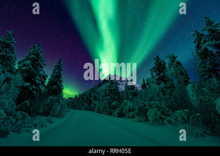 Northern lights over Mt Gjærdalstinden in northern norway with trees and a snow covered road in the foreground. Stock Photo