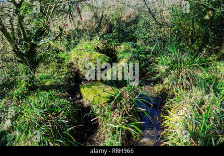 Chapel Euny Smaller Well, near Sancreed, West Cornwall UK Stock Photo