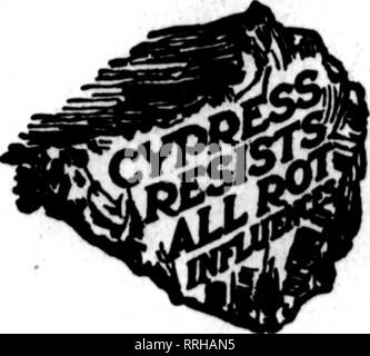 . Florists' review [microform]. Floriculture. ALWAYS MAKE SURE THAT THIS TRADE- MARK IS STAMPED ON EACH PIECE OF t* Tidewater Cypress f* &quot;THE WOOD ETERNAL THEN YOU BUY SAFETY (AND SATIS- FACTION) FIRST, LAST AND 'TWEEN TIMES.. Please note that these images are extracted from scanned page images that may have been digitally enhanced for readability - coloration and appearance of these illustrations may not perfectly resemble the original work.. Chicago : Florists' Pub. Co Stock Photo