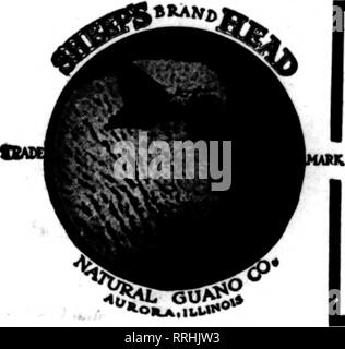 . Florists' review [microform]. Floriculture. Precipitate Bone Phosphate Magic Blood and Bone Pure Pulverized Sheep Manure NATURE'S OWN FERTILIZER Write for Prices and our Instructive Booklet containing Feeding Gliarts. CHICAGO FEED &amp; FERTILIZER CO, MANUFACTURERS AND DISTRIBUTORS UNION STOCK YARDS CHICAGO Mention The BeTlew when you write. aimiiiiiiHiiiiiiiiiiiiiiiiiiiiiiiiiiiiiiiiiiiiiiiiiiiiiiiiiiiiiiiiiiiiiiiiiiiiiiiiiiiiiiiiiiiiiiiiiiiiS! i PuLvcRizEb Sheep- Pulverized Catoz i SHREbbEb Cattix, n/INURE g Write Wizard Brand into your supply E house order for manure—or drop us a = postal  Stock Photo