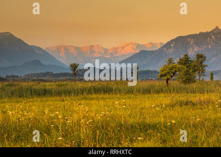 Murnau Moor, Murnauer Moos with Zugspitze and Wettersteingebirge Mountains at sunrise, Upper Bavaria, Bavaria, Germany, Europe Stock Photo