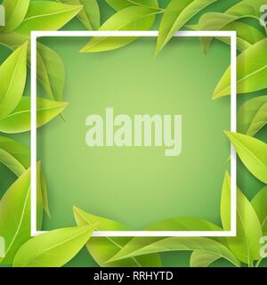 Green mellow leaves and white frame. Stock Vector