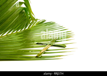 Cross shape of palm leaf on palm branches with green leaves isolated over white background. Palm Sunday concept Stock Photo