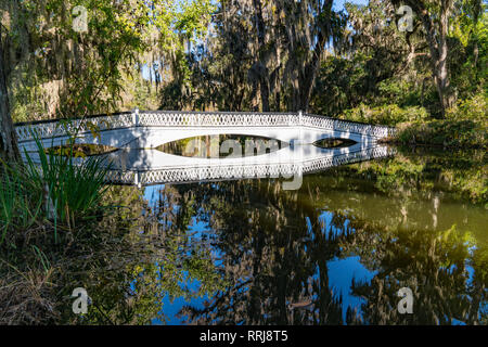 Bridge over Cypress Gardens in Charleston, South Carolina Stock Photo