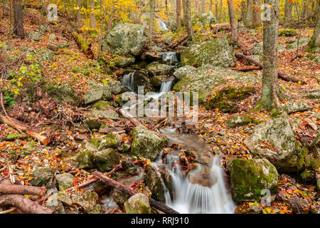 Mountain Stream Waterfall in Autumn in Shenandoah National Park Stock Photo