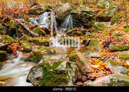 Colorful Leaves along a Mountain Stream Waterfall in Autumn Stock Photo