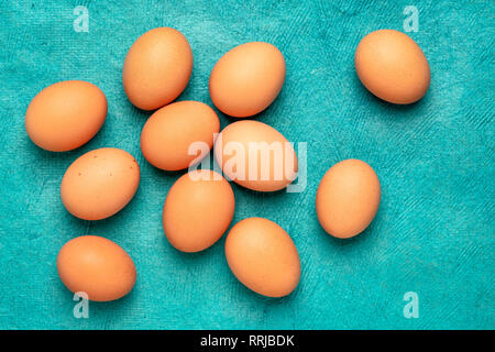 free-range large brown chicken eggs on textured turquoise bark paper Stock Photo