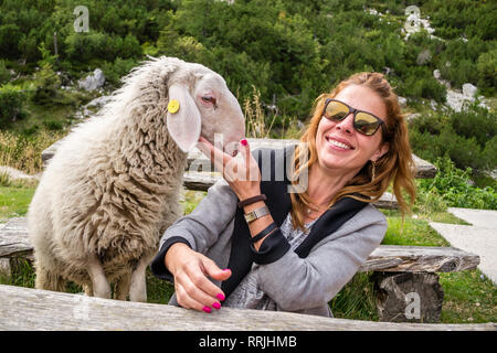 Hungry but friendly furry sheep steps on a bench and approaches young girl tourist, in search for food, during a Summer holiday in Triglav National Pa Stock Photo