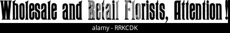 . Florists' review [microform]. Floriculture. 36 The Florists' Review JANDABV 4, 1917. £iiiiiiiiiiiiiiiiiiiiiiiiiiiiiiiiiiiiiiiiiiiiiiiiiiiiiiiiiiiiiiiiiiiiiiiiiiiiiiiiiiiiiiiiiiiiiiiiiiiiiiiiiiiiiiiiiiiiiuiiiiiiiiin^. Please note that these images are extracted from scanned page images that may have been digitally enhanced for readability - coloration and appearance of these illustrations may not perfectly resemble the original work.. Chicago : Florists' Pub. Co Stock Photo