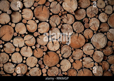 Texture.Panels of wood cuts of different diameters. Eco design Stock Photo
