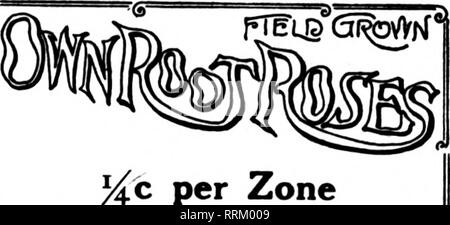 . Florists' review [microform]. Floriculture. 72 The Florists' Review FlBBDABT 8, 1917. carnation supply has been relieved and some days there are enough of them to meet all demands. The cuts of roses are still light. Plenty of California- grown violets are shown and the sup- ply of Oregon violets has increased. Potted tulips, daffodils and cinerarias •lead in blooming plants. A few Dutch hyacinths have come in. Various Notes. The seedsmen have finished mailing their spring catalogues. Some of them face a rather embarrassing situation due to the sudden and unexpected ad- vance in the cost of m Stock Photo