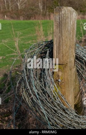 A roll of barbed wire hanging on a fence post by the side of a field. Stock Photo