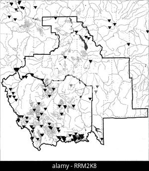 . Amphibian and reptile inventory on the Headwaters and Dillon Resources Areas in conjunction with Red Rock Lakes National Wildlife Refuge . Amphibians; Reptiles; Wildlife refuges; Tiger salamander; Frogs; Toads; Painted turtle; Racer snake; Garter snakes. Amphibian and Reptile Survey Locations, 1996-1998 Dillon &amp; Headwaters Resource Areas, and Red Rock Lakes NWR. 10 20 30 ^^ Y//////A Scale in Miles BLM Lands USFWS Areas Montana Natural Heritage Program, December 21,1998. Please note that these images are extracted from scanned page images that may have been digitally enhanced for readabil Stock Photo