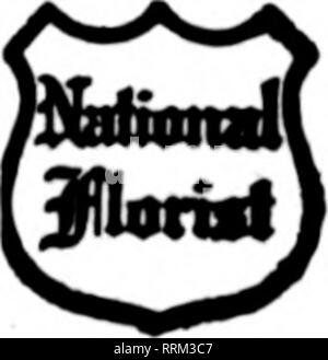 . Florists' review [microform]. Floriculture. GUARANTEE OF SATISFACTION iiiiiiiiiiiiiiiiiuiimiiiiiiiuiiun MEMBER FLORISTS' TELEGRAPH DELIVERY ?uiDuiuuiinuiuiiiiiuiiiiiuiiii CHICAGO'S I LEADING FLORIST ?ununiimHinimnnnnnimninBiinnnMsnHaaia RAILWAY EXCHANGE BUILDING B s viiiic]intiiiiniiaiiiiiiiiiiiiniiMiiiiiuuiiiiiiiiiiiaiiiiiiiiuwitiiiiinuiuiuiiiiiiiiic]iiiiiMiiiiiuiiiiiiiiiiiic3iiMiiiiinK]iininMiNC]iiH Red Bank, N. J. W. W. KENNEDY &amp; SONS FLORISTS Members F, T. D. 41 BROAD STREET. All Middle State and Seashore NEW JERSEY POINTS and Northeastern Pennsylvania towns are best reached from TRE Stock Photo