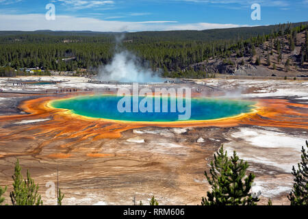 WY03858-00...WYOMING - The colorful Grand Prismatic Spring in the Midway Geyser Basin of Yellowstone National Park. Stock Photo