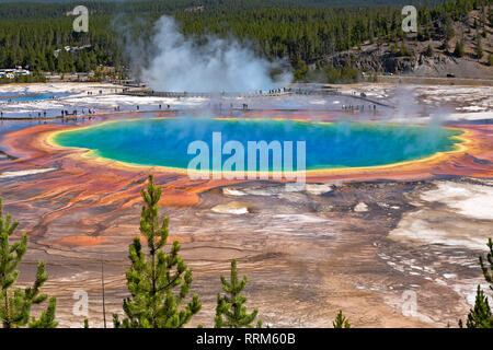 WY03861-00...WYOMING - The colorful Grand Prismatic Spring in the Midway Geyser Basin of Yellowstone National Park. Stock Photo