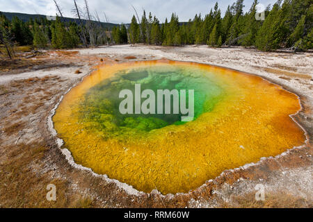WY03866-00...WYOMING - Morning Glory Pool in the Upper Geyser Basin of Yellowstone National Park. Stock Photo