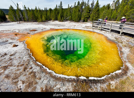 WY03867-00...WYOMING - Morning Glory Pool in the Upper Geyser Basin of Yellowstone National Park. Stock Photo