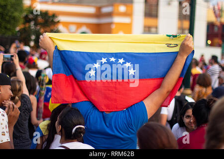 Lima, Peru - February 2 2019: Man vigorously holding Venezuelan flag at protest against Nicolas Maduro Stock Photo