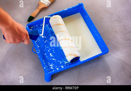 Woman hand with paint roller in paint tray with primer. Close-up. Stock Photo