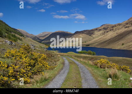 Country road lead to forestless hills and intensive blue lake, Scotland Stock Photo