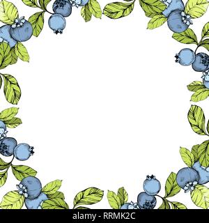 Vector Blueberry blue and green engraved ink art. Berries and green leaves. Frame border ornament square. Stock Vector