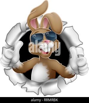 Easter Bunny Thumbs Up Cool Rabbit in Sunglasses Stock Vector